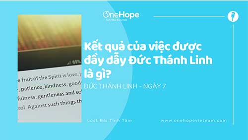 Duc Thanh Linh Ngay 7