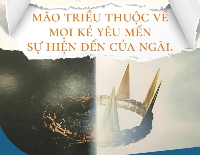 29/5/2025 - MÃO TRIỀU THIÊN THUỘC VỀ NGƯỜI YÊU MẾN CHÚA 1